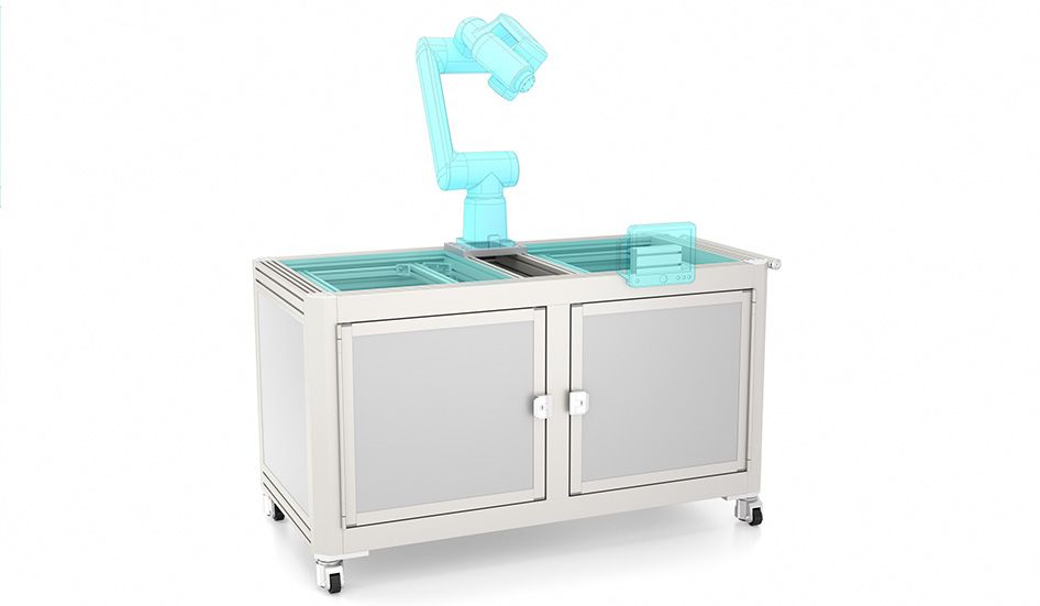 Robot workstation for individual workpiece carriers